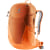 chestnut-mandarine
