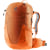 chestnut-mandarine