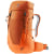 chestnut-mandarine