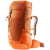 chestnut-mandarine