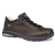 Chestnut/Black