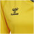 Blazing Yellow