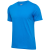 Indigo Bunting