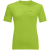 fresh green