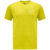 chartreuse
