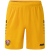 dynamic yellow