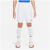 White/Royal Blue