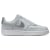 Pure Platinum/Metallic Silver-White