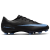 Black/Ice Blue