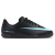 Black/Ice Blue