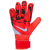 Bright Crimson/Black/Royal Tint