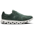 Olive | Evergreen