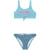 Vision Blue