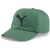 vine-puma cat logo