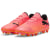 sunset glow-puma black-sun stream