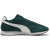 dark myrtle-puma white-gum