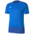 electric blue lemonade-team power blue