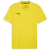 faster yellow-puma black
