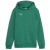 sport green-puma white