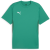 sport green-puma white-power green
