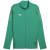 sport green-puma silver-power green