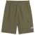 loden green