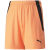 neon citrus-puma black