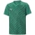pepper green