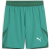 sport green-puma white-power green