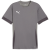 cast iron-puma white-shadow gray