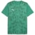 sport green-puma white
