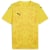 faster yellow-puma black