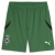 archive green-puma black