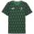 archive green-puma black