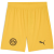 yellow sizzle