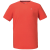 2435 - rot