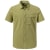 solid olive