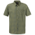 solid olive