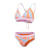Funny Pink, Pumpkin Spice, Curious Blue, Cupid Coral
