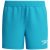 Picton Blue