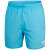 PICTON BLUE