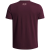 Maroon / Maroon Mist