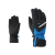 black.persian blue